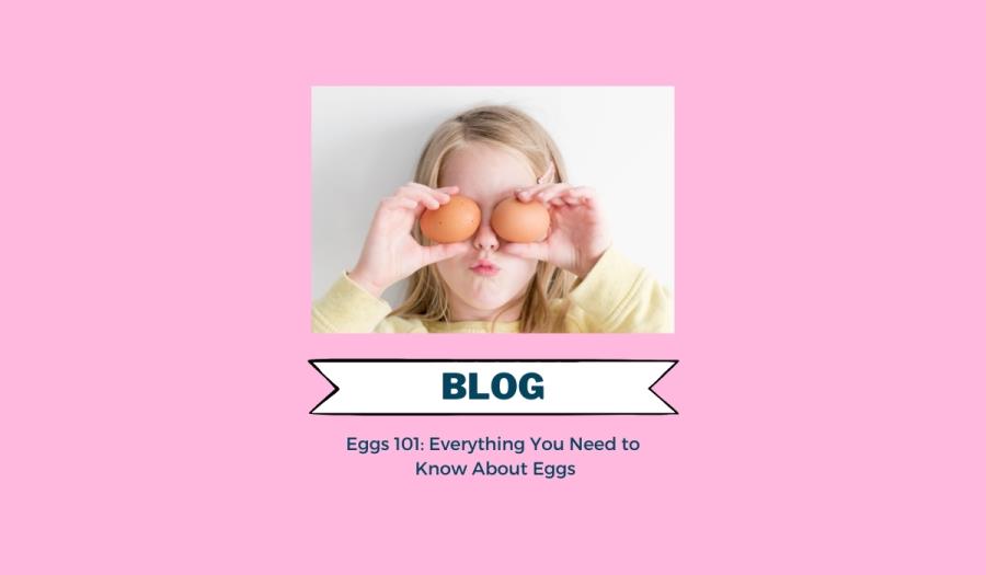 Eggs 101: Everything You Need to Know About Eggs